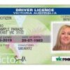 Australian driver’s license