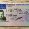 Buy German Driving License