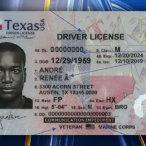 Buy Texas Driver License online