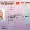Bulgarian driving licence