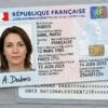 France ID card 