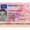 Buy Netherlands driver’s license