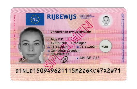 Buy Netherlands driver’s license