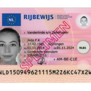 Swedish driver’s license